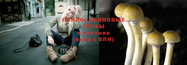 spice Вязники