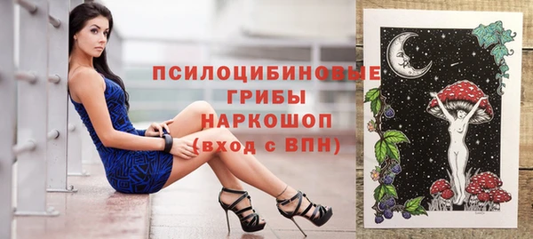 spice Вязники