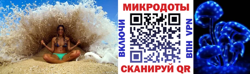 наркотики  Железногорск  Псилоцибиновые грибы GOLDEN TEACHER 