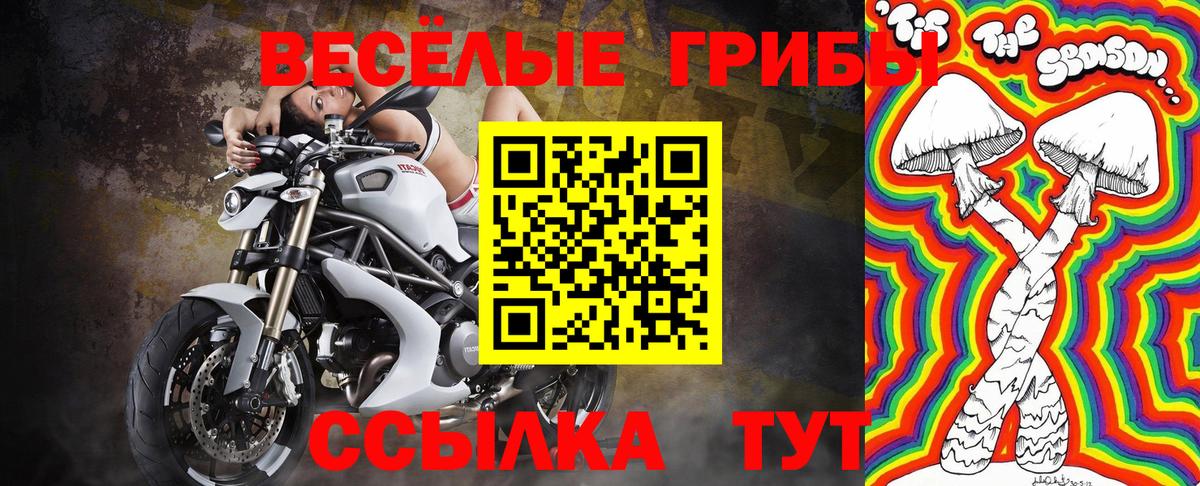 Железногорск  Псилоцибиновые грибы Magic Shrooms  Псилоцибиновые грибы мухоморы  Вход с VPN 